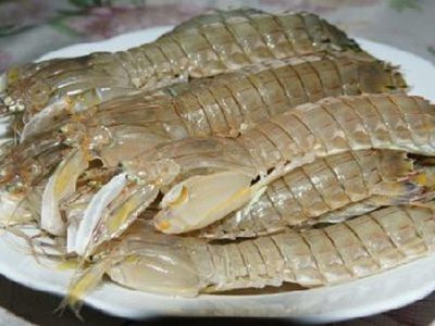 濑尿虾配送