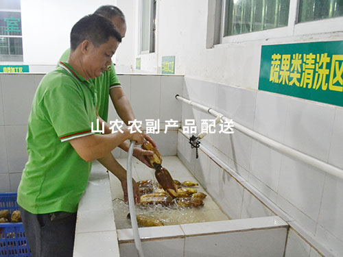 蔬果类清洗区