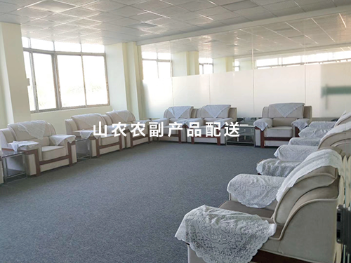 公司会客室