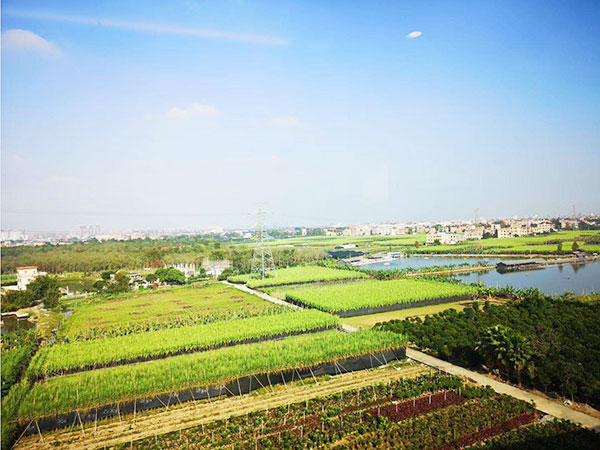 种植基地