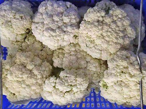 蔬菜配送