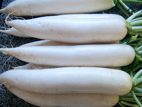 蔬菜批发